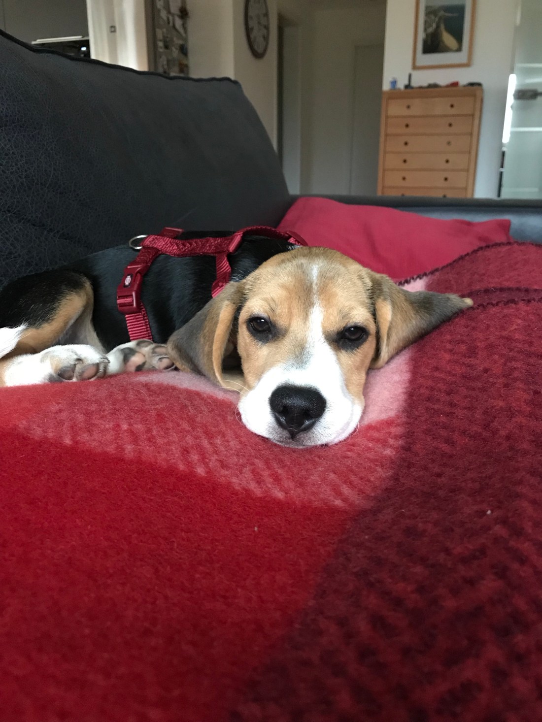 6NGO7nkVQU2TqBmGa7g+ew