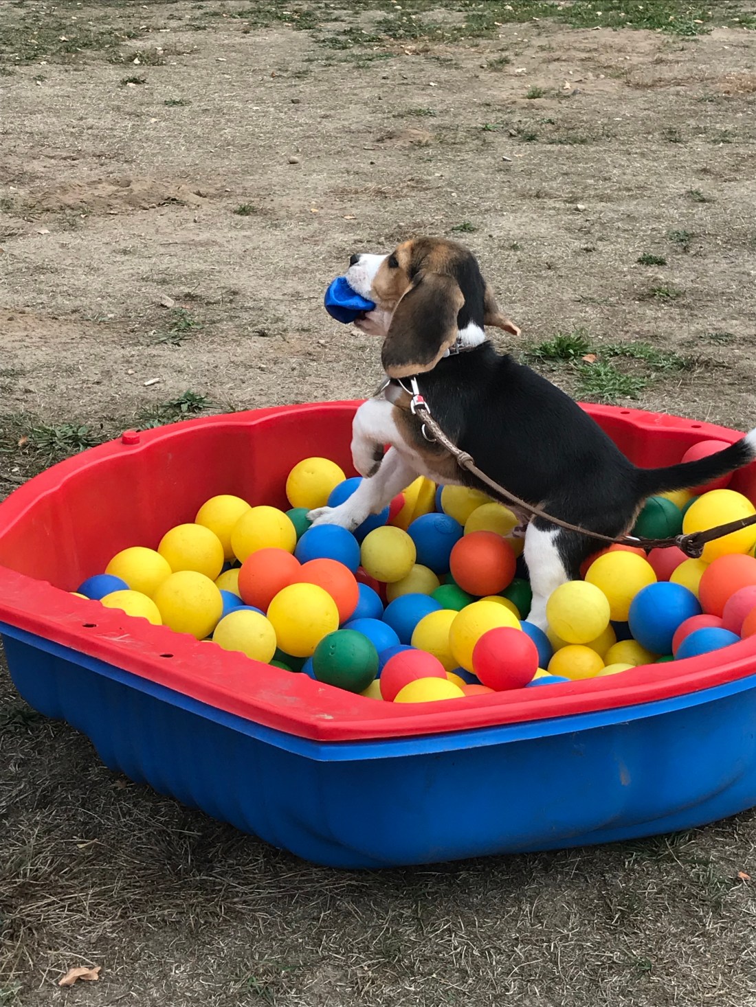 r+C8Gla8SbiWbr0mGkfzpg