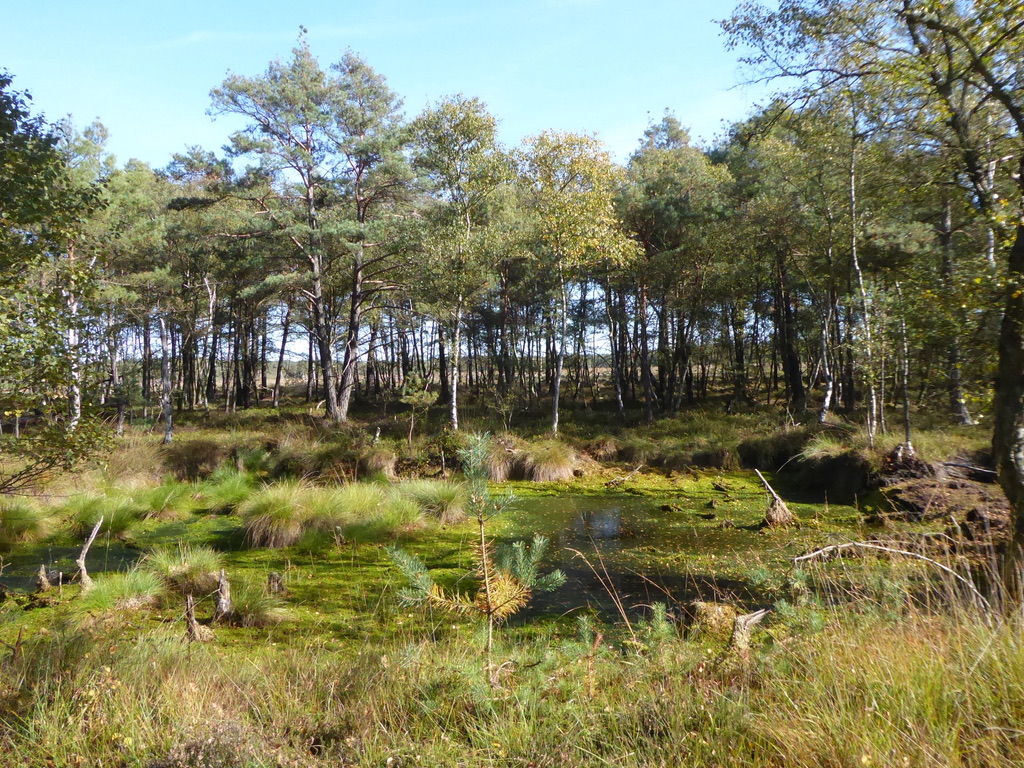 unadjustednonraw_thumb_106d9