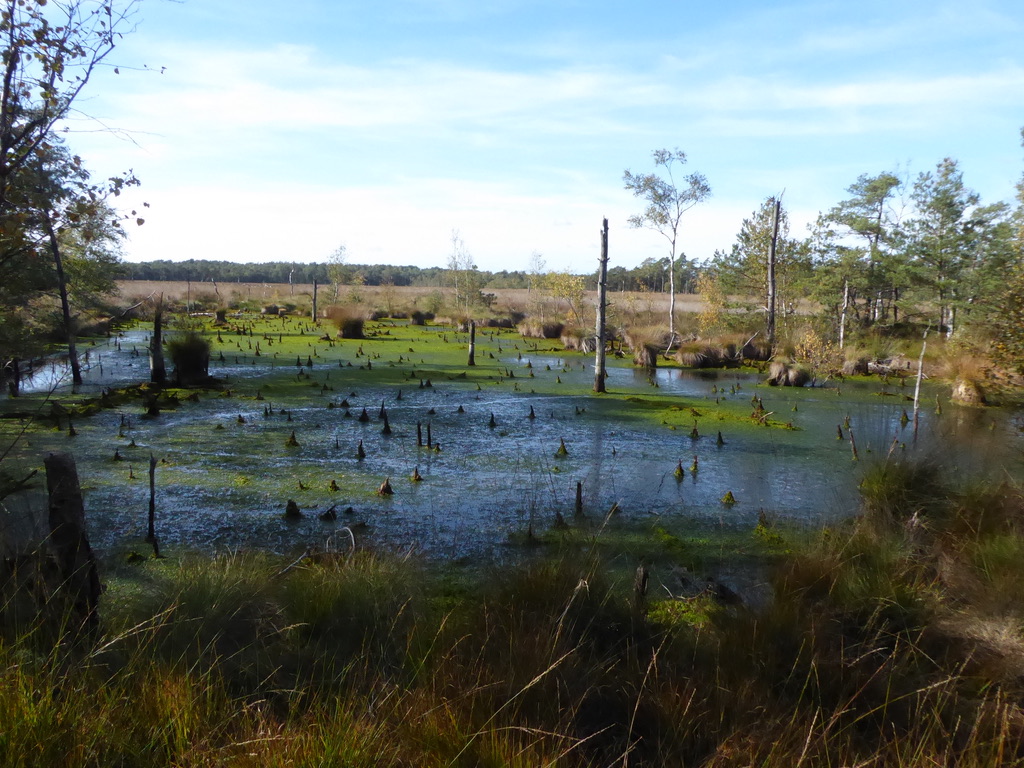 unadjustednonraw_thumb_106e9