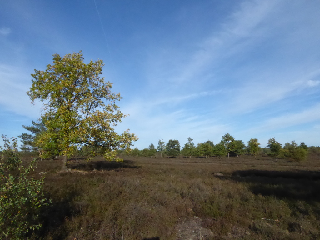 unadjustednonraw_thumb_106fd