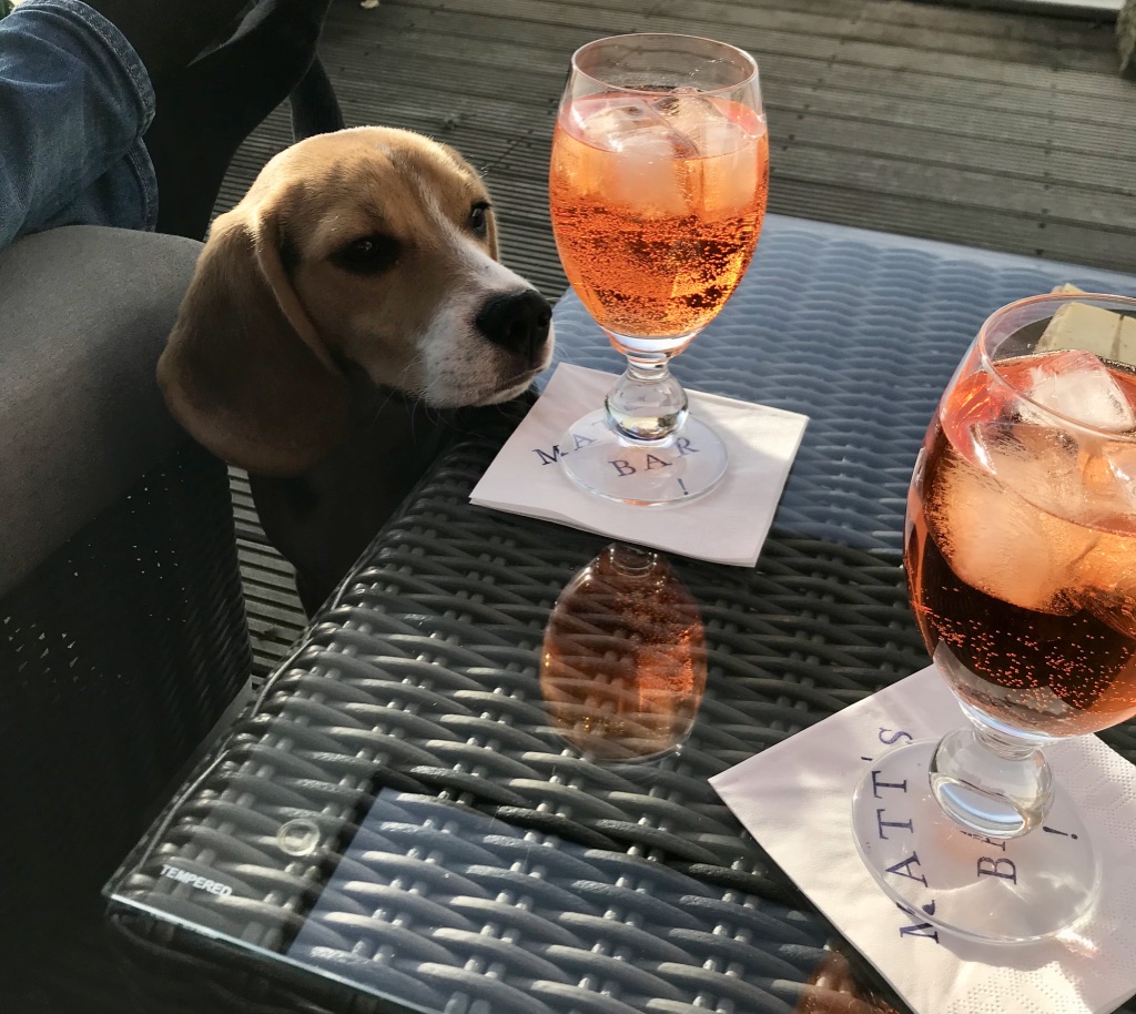 EPoVGiWyTba9Xc4ROYjq+A_thumb_10b93