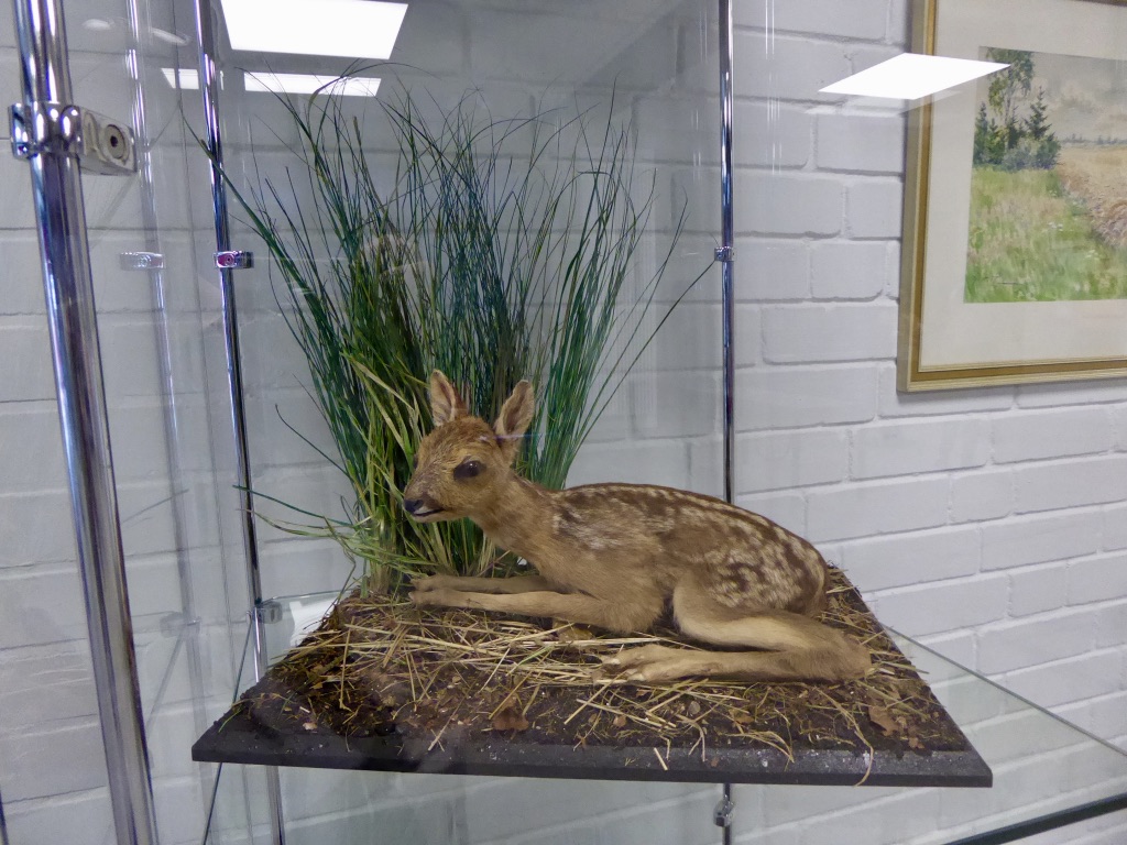 hKAdZ3TfSkCgjqhpkuWWNw_thumb_10b62