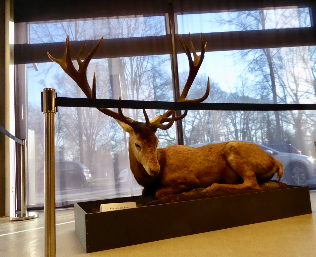 NgX60w8cQBm6RVVhuWQoMg_thumb_10b63