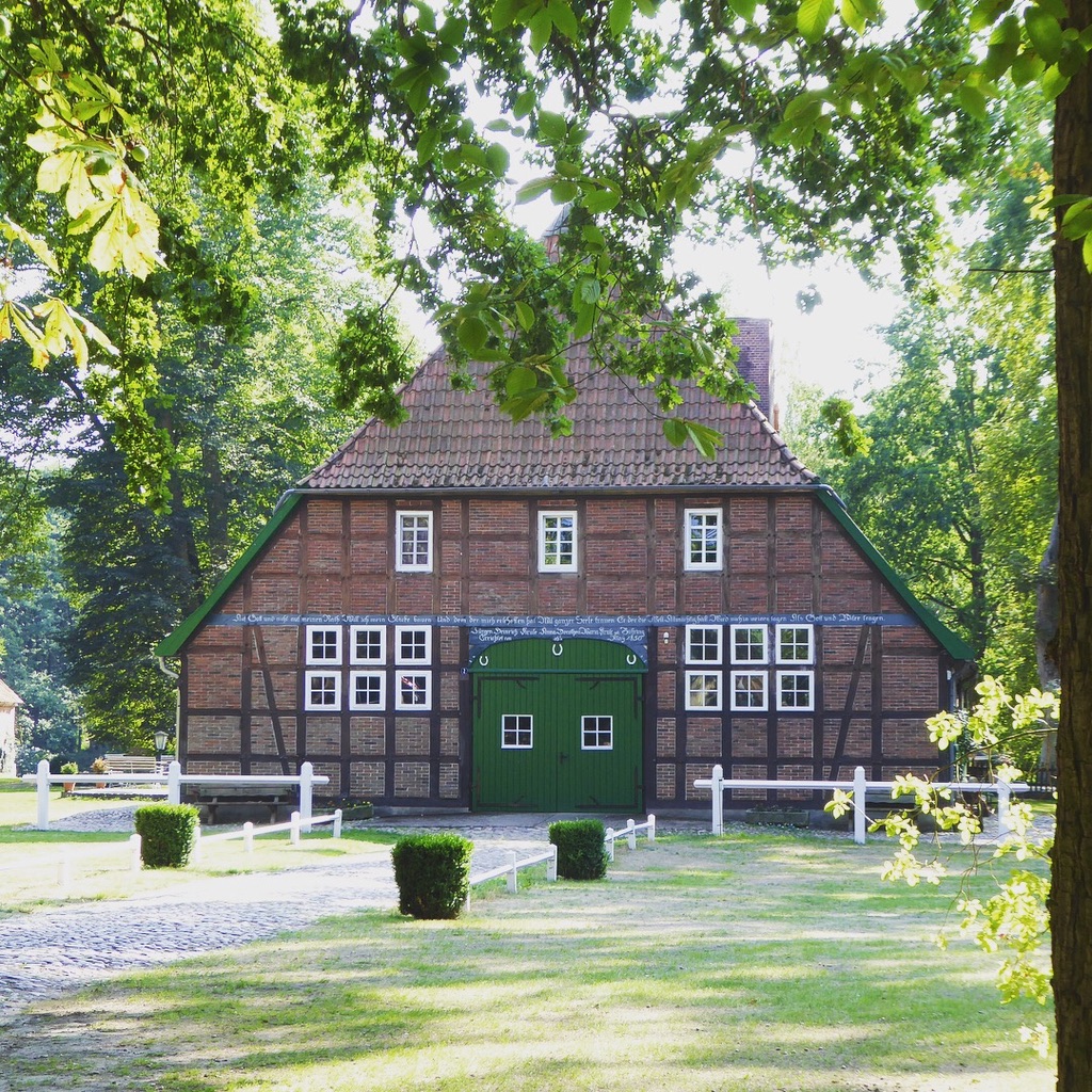 UNADJUSTEDNONRAW_thumb_10594