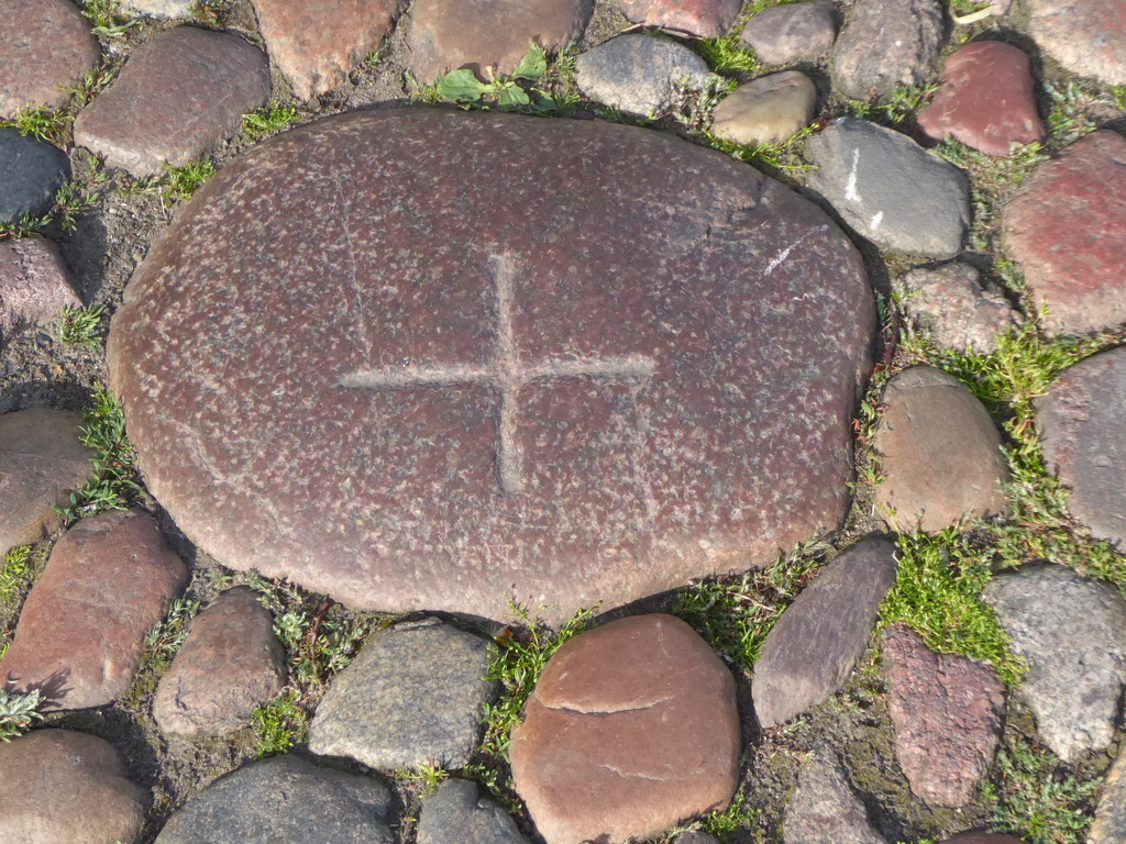 UNADJUSTEDNONRAW_thumb_11288