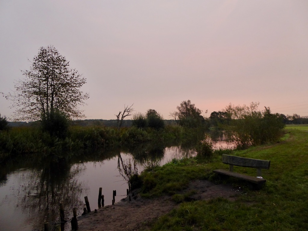 lTqhIfTUQUWFAjYozUJF1Q_thumb_f1d0