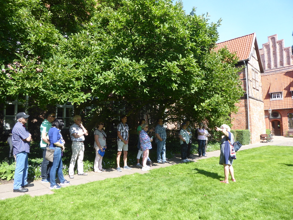 UNADJUSTEDNONRAW_thumb_114f2