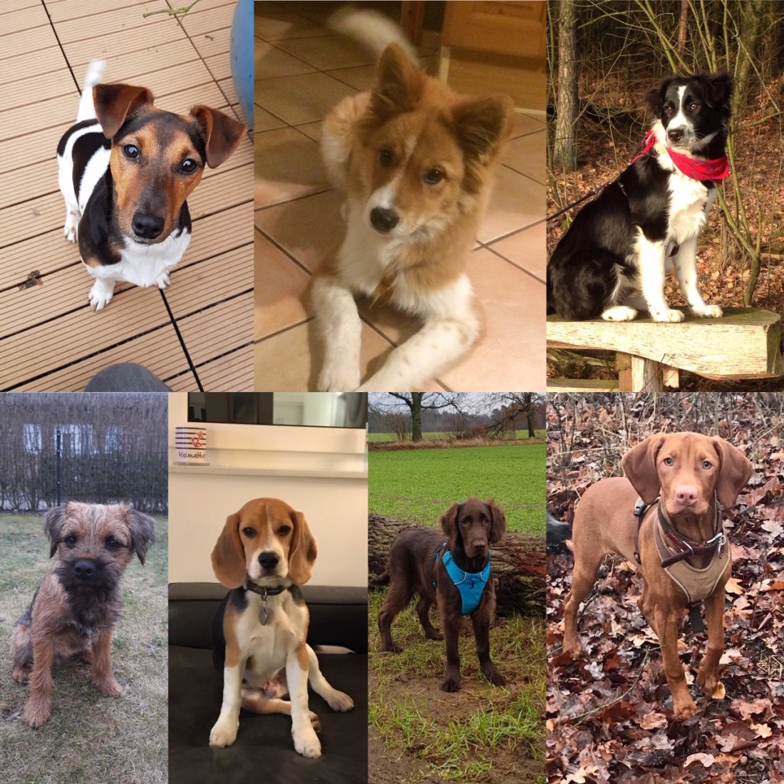 E08C714D-11B0-4602-AED2-02D21E86F695