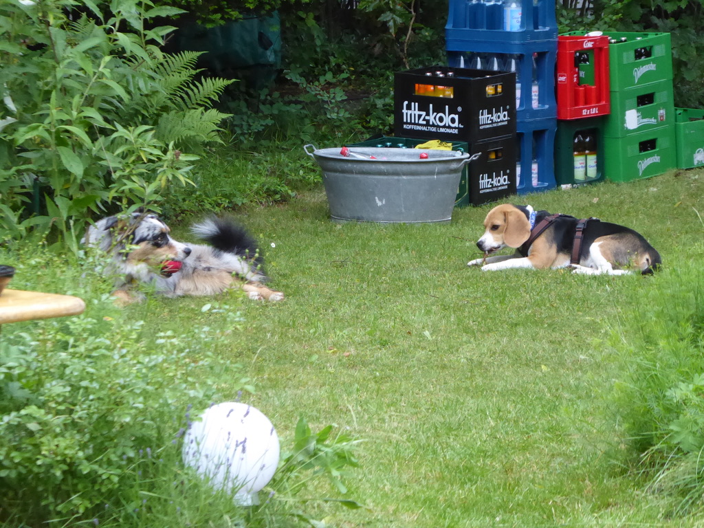 147EB9D3-1313-473A-B47B-84A47AD7EEFA_1_105_c