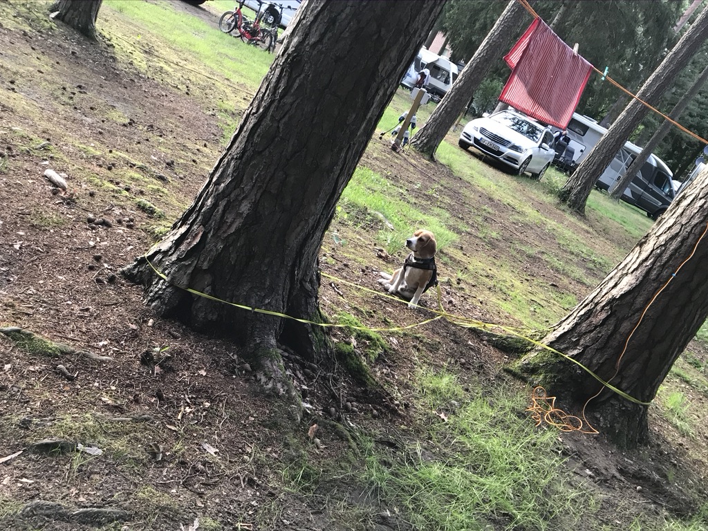 3B6252E1-2B4D-447D-9ACF-87A7E043CF61_1_105_c