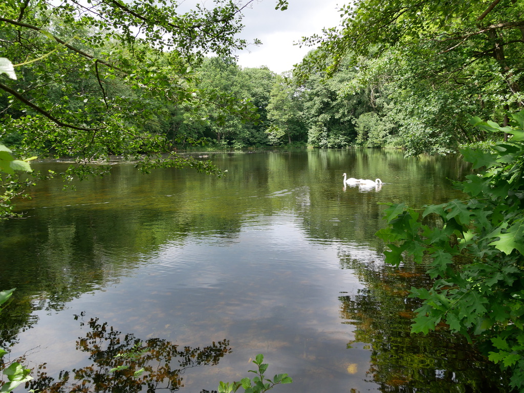 771FD02C-E3E5-456A-A2D7-3E8D2990D562_1_105_c