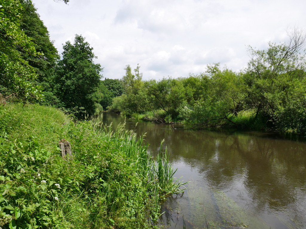 88E110BF-349E-43CE-9791-3FBAE73F0694_1_105_c