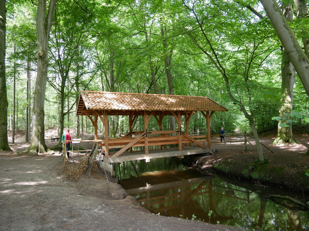 AE6FF50A-AC2F-4533-B35D-FCF853FDEEA8_1_105_c