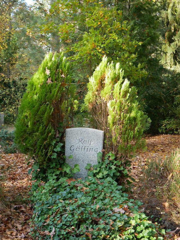 Wie Engelsflügel rankt sich der Baum um den Grabstein.